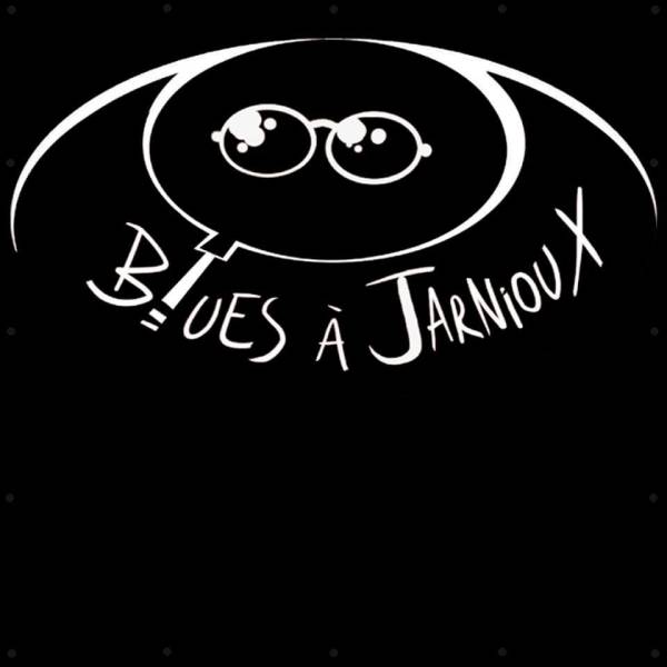 Le festival Blues à Jarnioux cec prestataire technique pour le festival