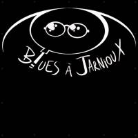 Le festival Blues à Jarnioux cec prestataire technique pour le festival